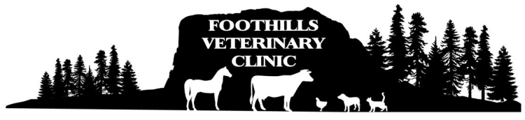 Foothills Veterinary Clinic